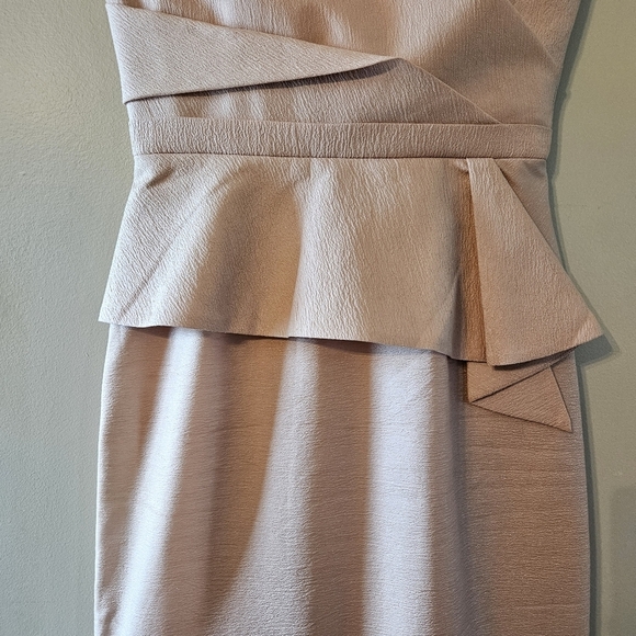 BCBGMaxAzria Gracie Strapless Peplum Corset Long Cocktail Gown Bare Pink Size 6. - Picture 11 of 16